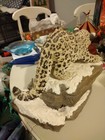 Foto 5 di 8