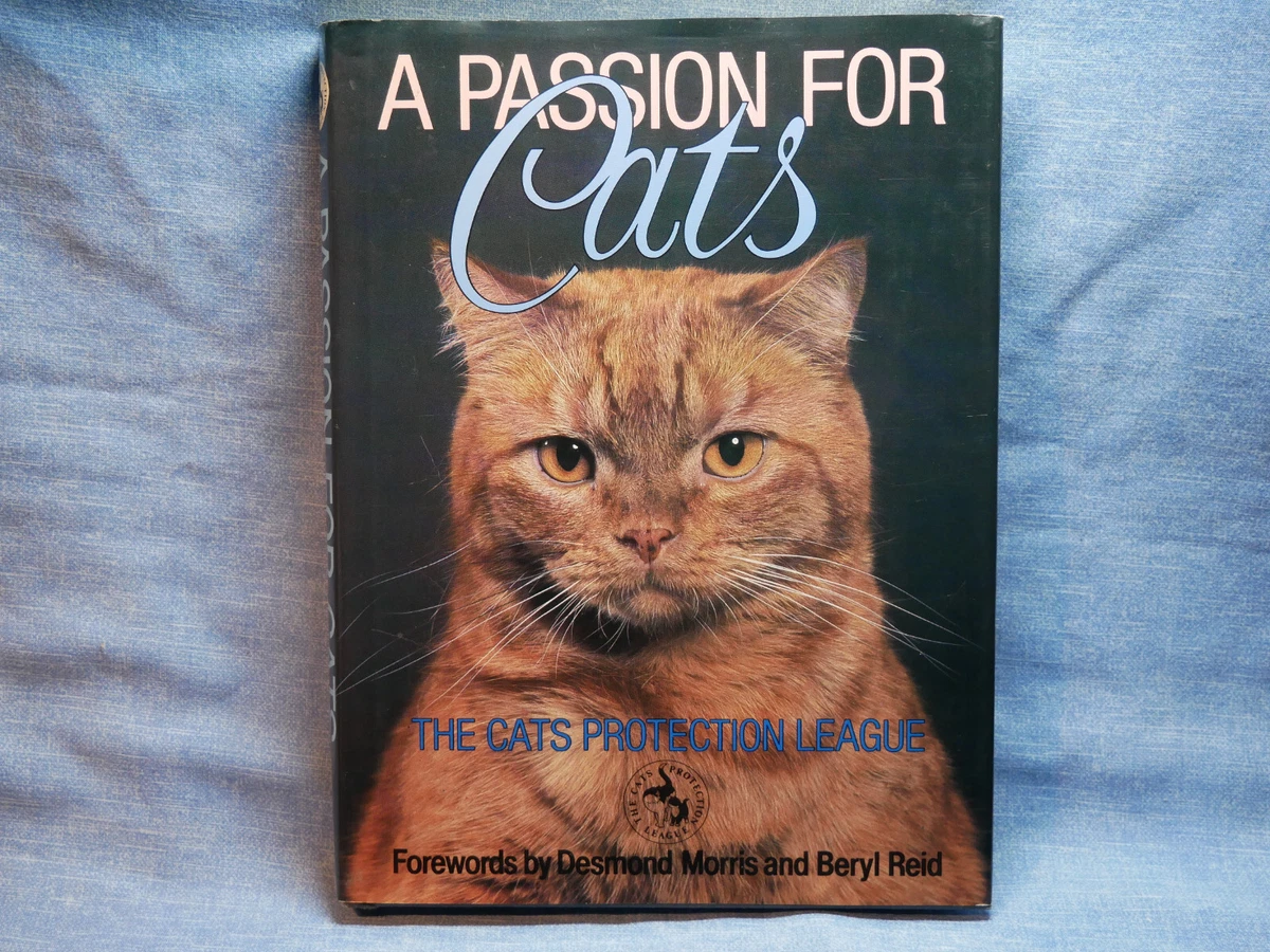 Cat's protection cheap league