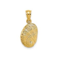14k Yellow Gold Abalone Shell Pendant Textured Nautical Charm for Women