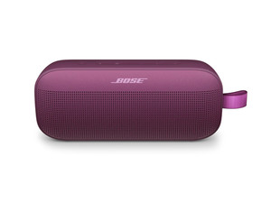 Bose Soundlink Flex | eBay