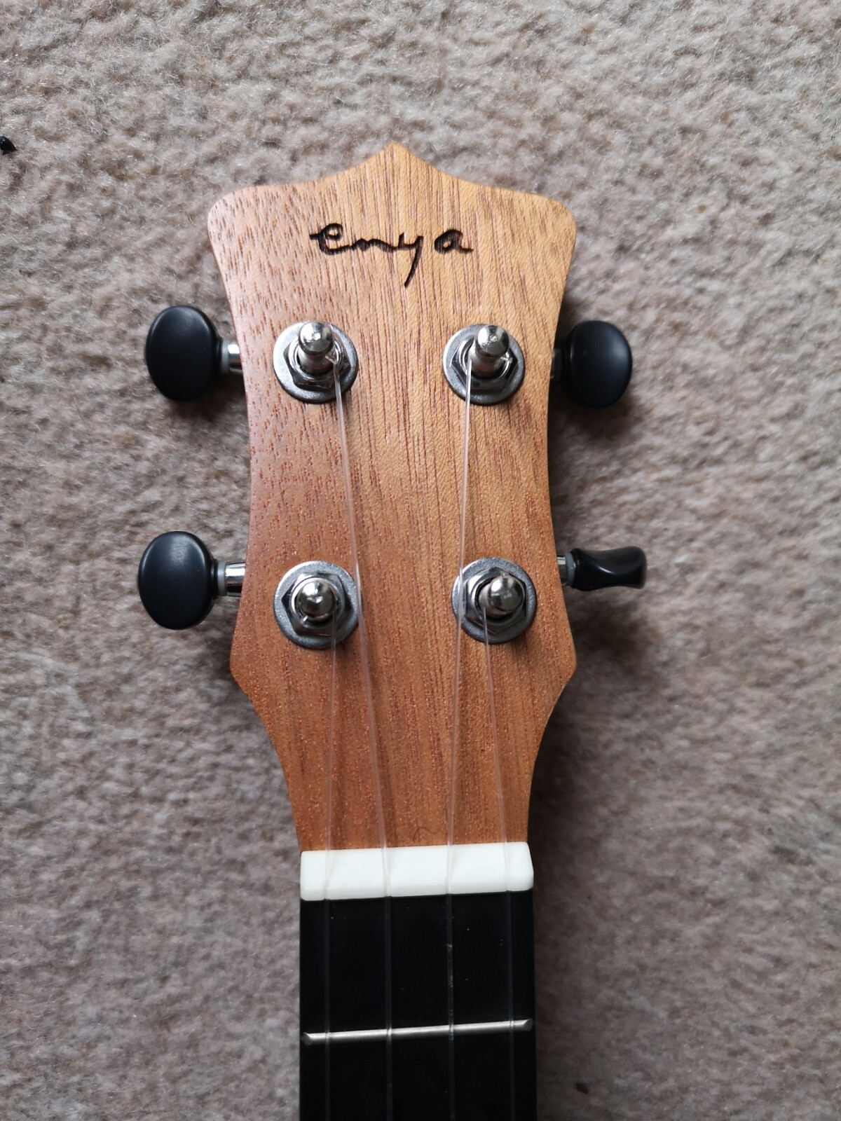 Enya EUC25D Solid Top Concert Ukulele Natural eBay