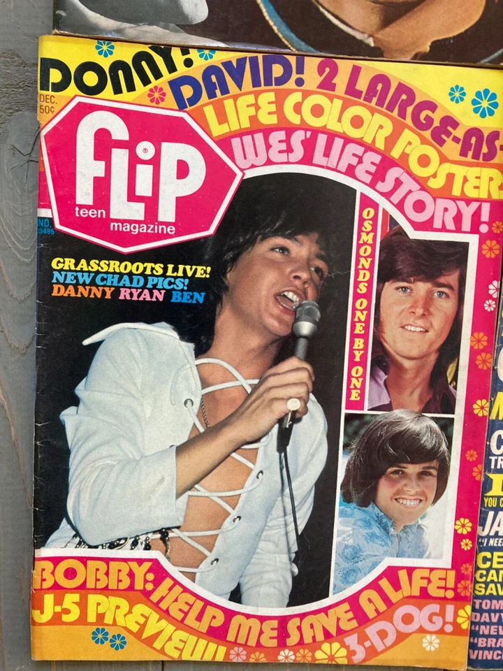 -CUT- Fave, 16, Flip Magazine, Bobby Sherman 1970, 1971 Lot Of (6) #A7 Foto 3 de 4