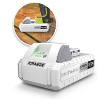 Snow Joe 24VBAT-LT IONMAX 24-Volt 2.5 Ah Lithium-Ion Battery