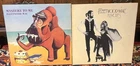 2 LP lot from Fleetwood Mac Rumors and Mystery to Me Nicks Buckingham