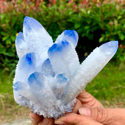1.64LB New Find Blue PhantomQuartz Crystal Cluster MineralSpecimen