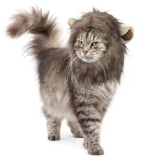 For Small Cat or Dog Funny Cute Lion Mane Costume Pet Clothes Fancy Dress NEW
