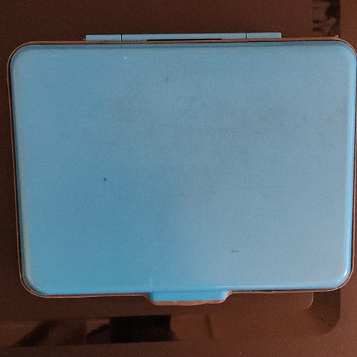 Nintendo Blue Hard Plastic Travel Carrying Case for Nintendo DS Console - Afbeelding 2 van 5