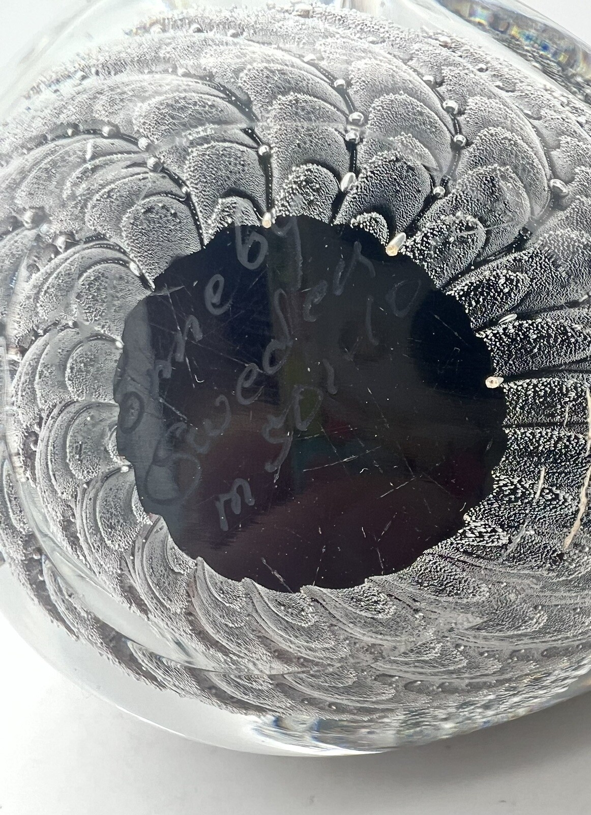 Picture 8 of 8
