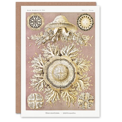 Ernst Haeckel Art Card Jellyfish Discomedusae Vintage Illustration
