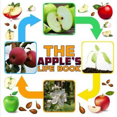 The Apple's Life Book: growing up and life cycle of an apple | small to until gr