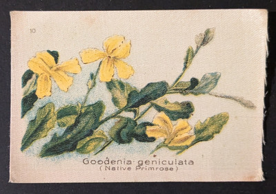 1913 BAT Australian Wild Flowers Silk Cigarette Card #10 Native Primrose 