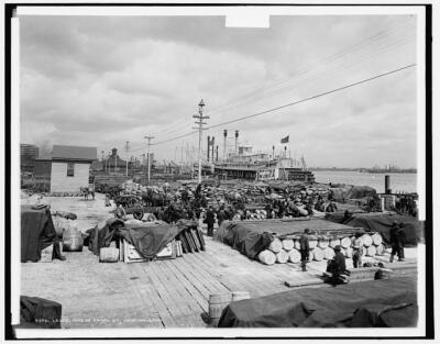 Levee, foot of Canal St, New Orleans c1900 OLD PHOTO