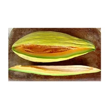 Melon Banana Great Heirloom Vegetable By Seed Kingdom 1,500 Seeds