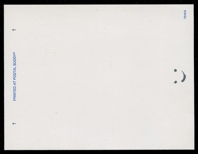 Sc# CVUX4/UPSS# PB3b2 - 19c EAGLE & STAR PARTIALLY PRINTED E.F.O. - FIRST DAY? - Image 3 of 3