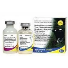 Vb Bovishield Gold FP 5 L5 1 Count  by Zoetis