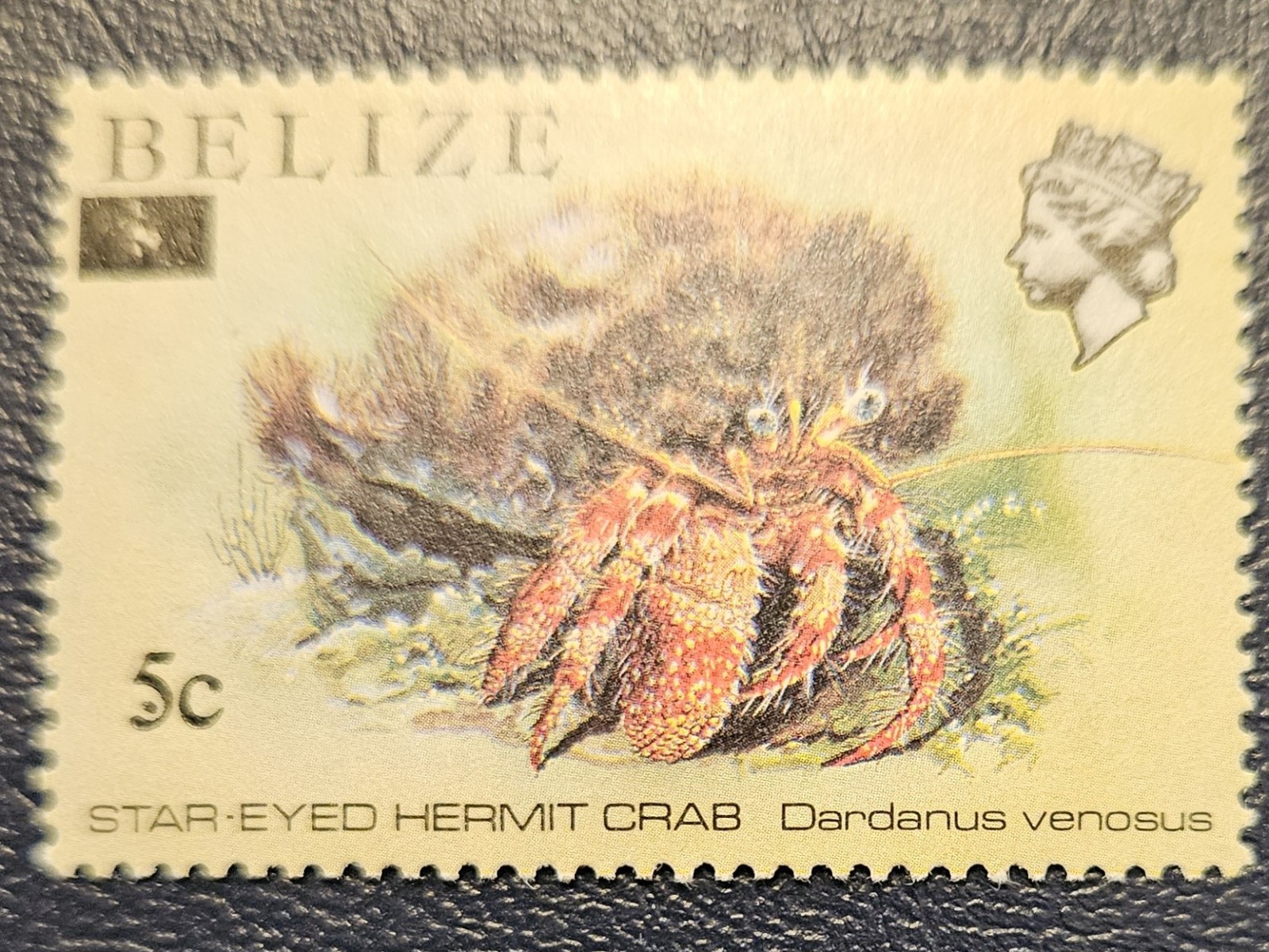 BELIZE 1989 5c Revaluation (Scott 922; SG 1060) MNH