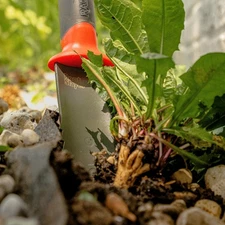 Radius Garden Root Slayer Soil Knife/Trowel