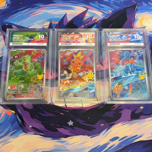 ACE Perfect 10 First Partner Series 3 Hoenn Sequential Set Treecko Torchic