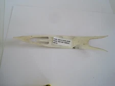 Bone Fish Net Needle