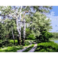 Paint By Numbers Adults kids Tree Forest Road DIY Painting Kit 40x50CM Canvas