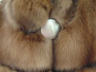 Picture 5 of 9