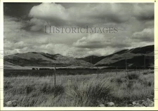 1987 Press Photo Peter Rayne's sheep ranch - Canterbury Plains, New Zealand