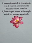 Imagen 2 de 3