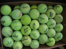 100 USED TENNIS BALLS Name Brand for Pet's Toy, Workout, Rehab., etc...