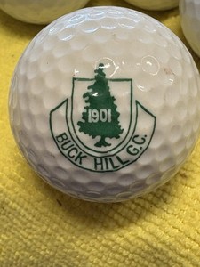 Buck Hill Golf Club Logo Golf Ball- Buck Hill Falls Pennsylvania PA 1901