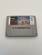 The Flintstones: The Treasure of Sierra Madrock (Snes Super Nintendo)