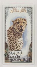 2020 Topps Allen & Ginter's Safari Sights Minis Cheetah #SS-2 9r7