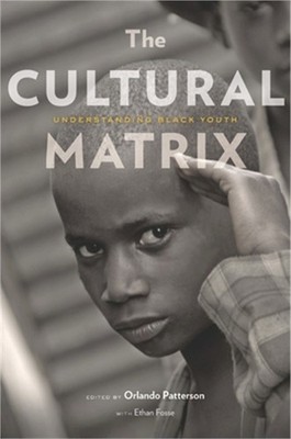 The Cultural Matrix: Understanding Black Youth (Paperback or Softback)