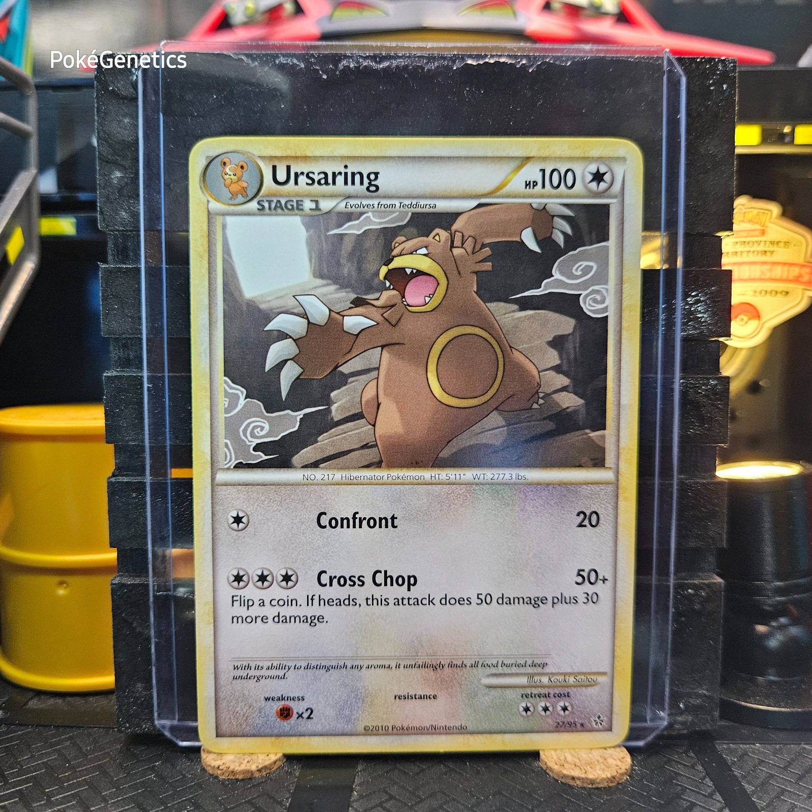 Ursaring Unleashed Pokémon TCG 27/95 HeartGold & SoulSilver Rare