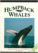 HUMPBACK WHALES-GENTLE & CURIOUS SINGER OF SONGS-FIELD GUIDE-HISTORY-PHOTOS