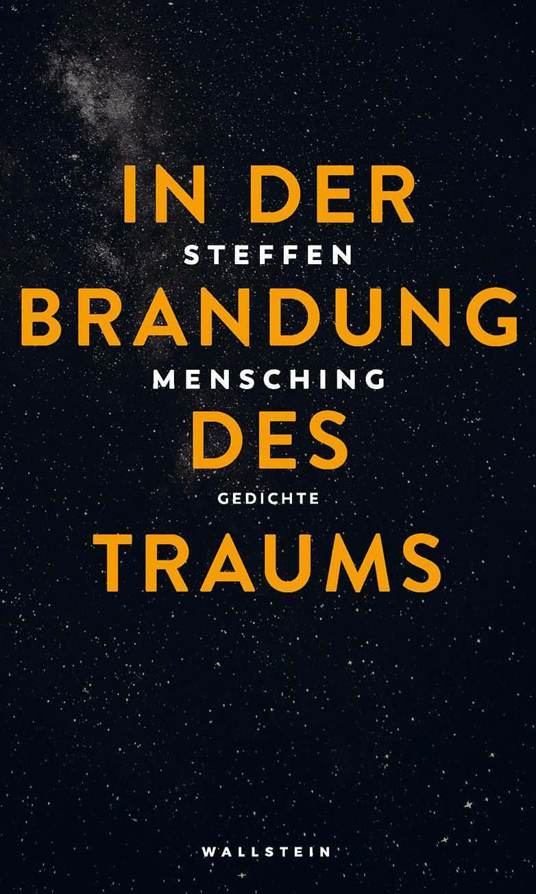 Thumbnail - Steffen Mensching | In Der Brandung Des Traums | Buch | Deutsch (2021)