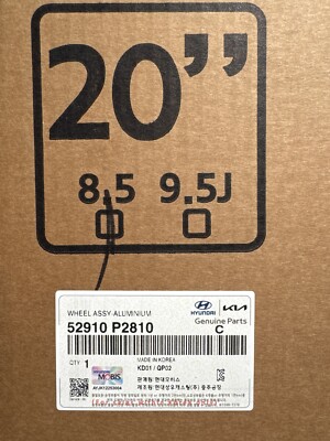 OEM 52910-P2810 20