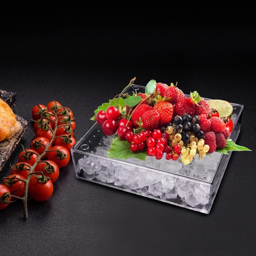 Ice Chilled Serving Tray with Ice Underneath Acrylic Cold Food Buffet Server - Picture 4 of 7