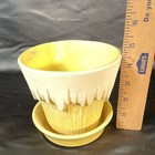 Picture 5 of 7