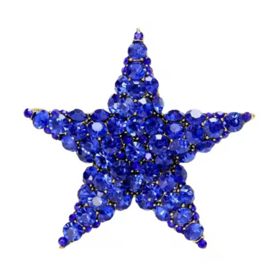 Blue Rhinestone Star Snowflake Flower Brooch Vintage Pin Jewelry Women Gift USA
