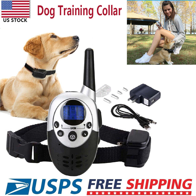 canavis dog shock collar