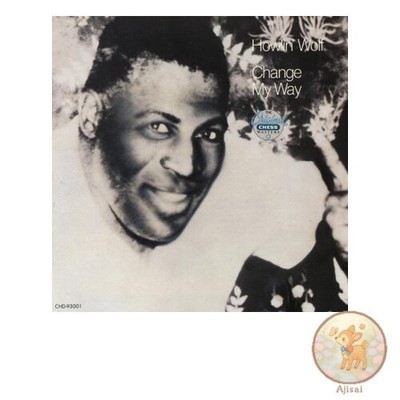 Music CD used Change My Way Blues