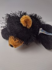 Ganz Webkinz Retired Black Bear Plush HM004 with Unused Sealed Code