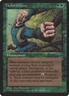 Thelon's Curse LP Fallen Empires Green Enchantment Mtg Magic English Regular