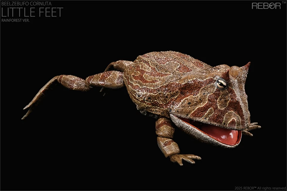 REBOR 1/2 Beelzebufo Action Figures Frog Decor Animal Model Adult Kids Gift Toys - Image 4 of 4