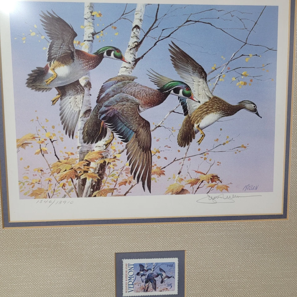 1986 Vermont Waterfowl Wood Duck Stamp Print First of State Lim Edit Hand Signed - Image 3 of 4