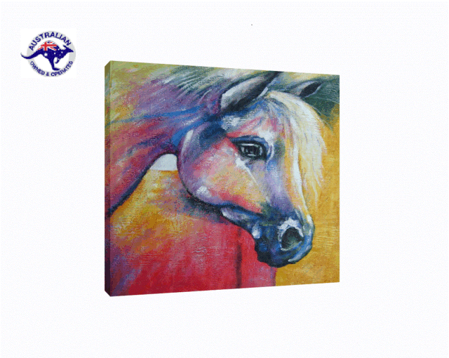 THE WONDERING HORSE MODERN ART HANDMADE ON CANVAS-2 SIZES WOODEN FRAME THE WONDERING HORSE MODERN ART HANDMADE ON CANVAS-2 SIZES WOODEN FRAME