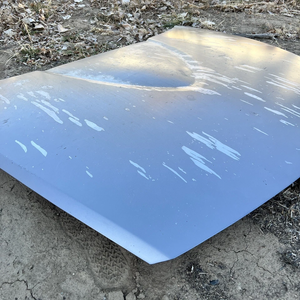 04-11 Panel capó delantero Mazda RX8 plateado PICKUP LOCAL: COLORADO Foto 3 de 4