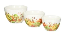 Fall Thanksgiving Calabaza 3 Piece Prep Serving Bowl Set
