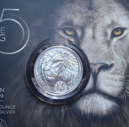 Moneda de plata South Africa Big Five Lion 2019 de 1 oz Bu - Imagen 3 de 3