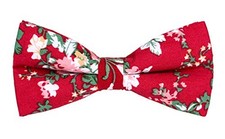 Men's Cotton Floral Printing Bow Tie Cb057